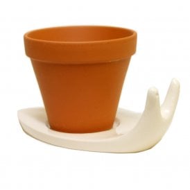 Takae Mizutani Large Snail Plant Pot 067004